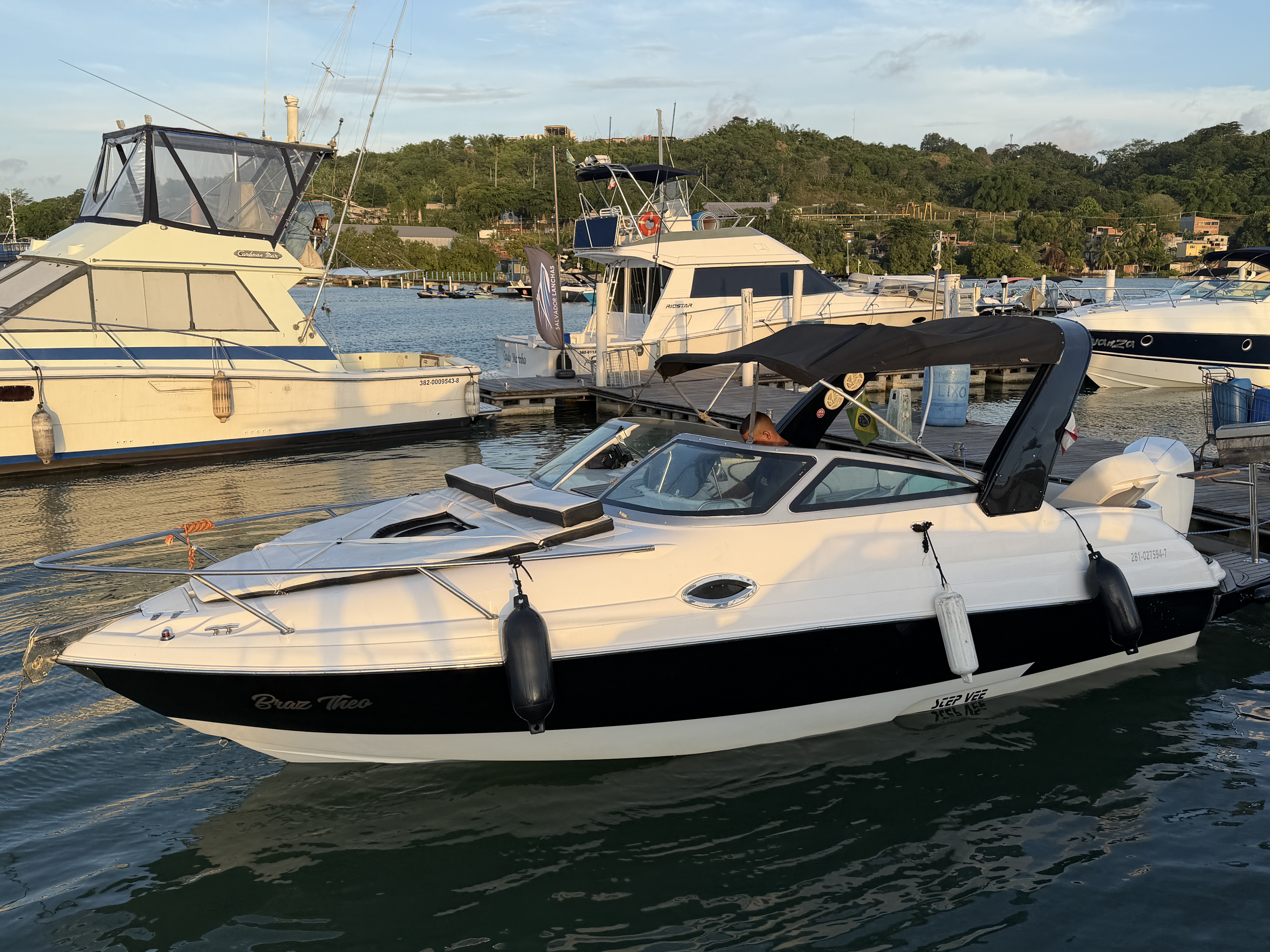 Lancha WS29