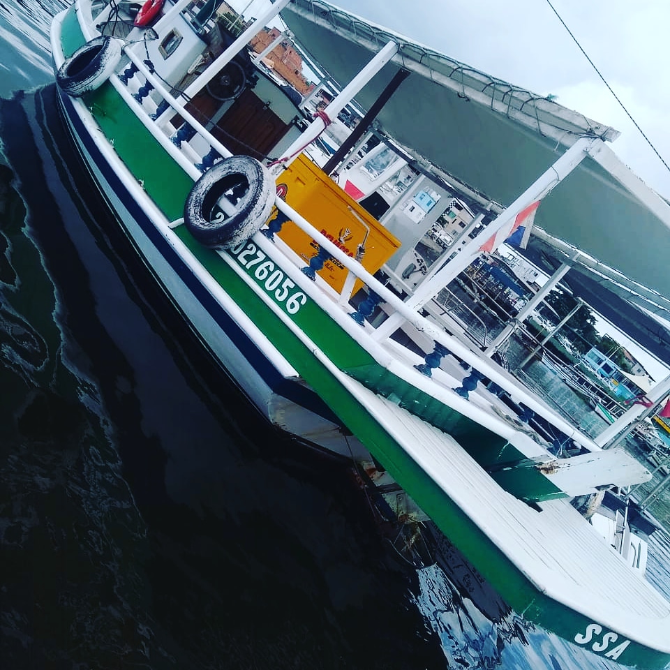 Lancha WS44