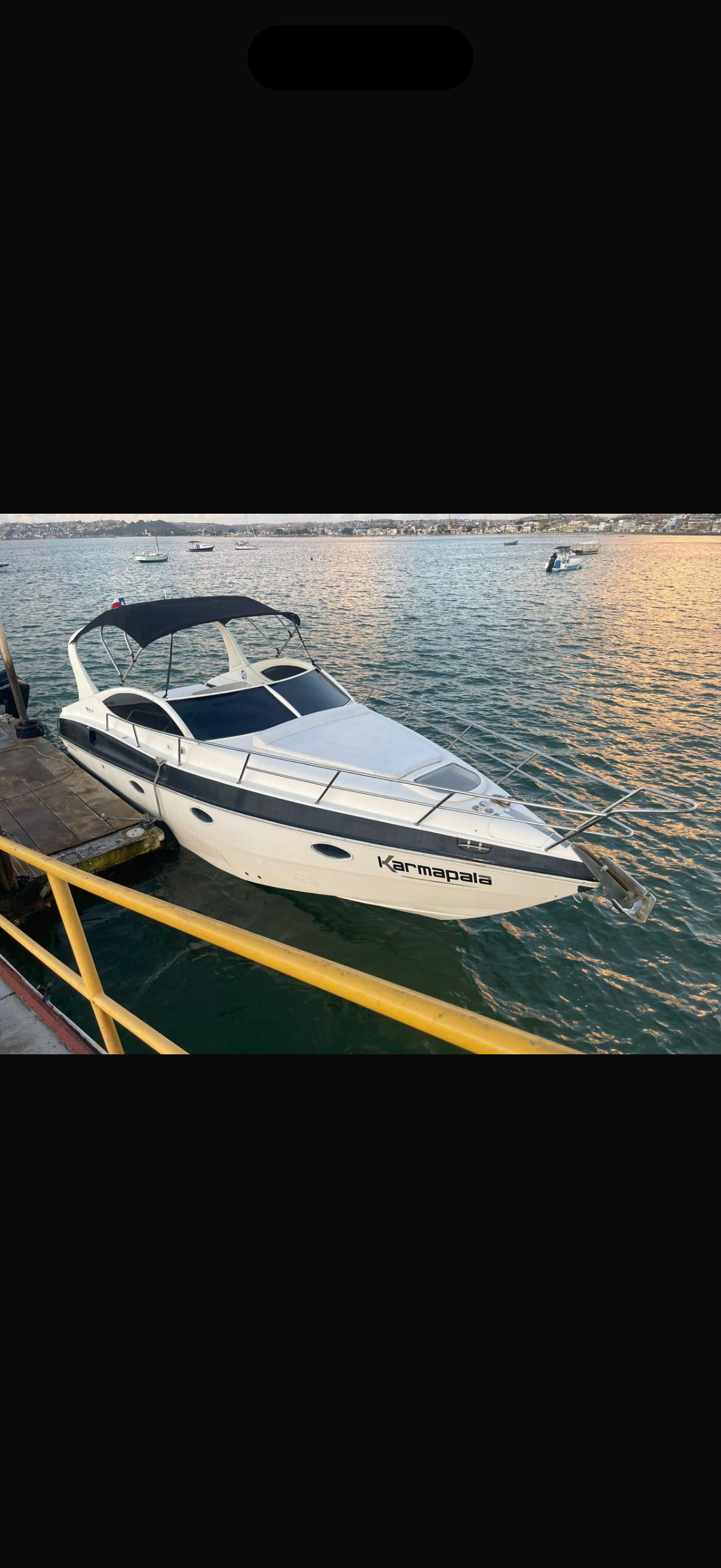 Lancha WS119